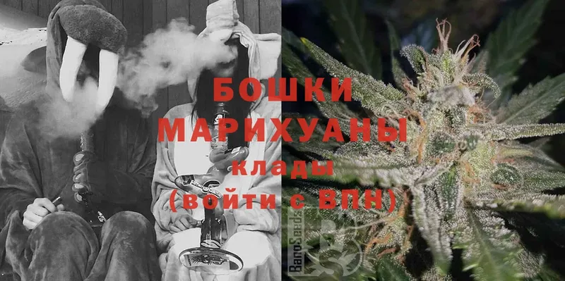 наркотики  Горнозаводск  Бошки Шишки SATIVA & INDICA 